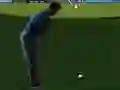 Laro Flash Golf 3D online