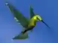 Laro Hummingbird House Escape online