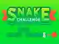 Laro Snake Challenge online