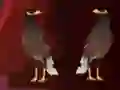 Laro Peikin Duck Escape online