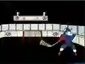 Laro Capitaine Cage Hockey online