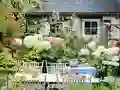 Laro Flower Garden online