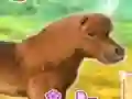 Laro My Dear Pony online