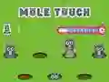 Laro Pole Touch online