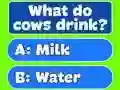 Laro Trivia Best Family Quiz online