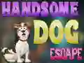 Laro Handsome Dog Escape online