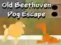 Laro Old Beethoven Dog Escape online