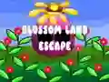 Laro Blossom Land Escape online