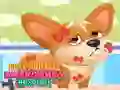 Laro Cute Animals Emergency Hospital online