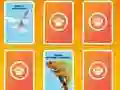 Laro National Geographic Kids Matching online