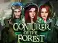 Laro Conjurer Of The Forest online