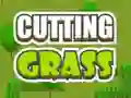 Laro Cutting Grass online