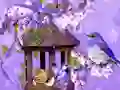 Laro Wonderful Humming Bird Land Escape online
