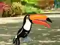 Laro Find Woodpecker Pair online