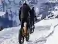 Laro Mountain Bikes Jigsaw online