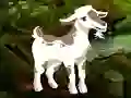 Laro Searching Goat Child online