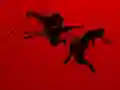 Laro Run Ninja Run online