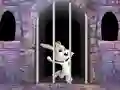 Laro Victory Rabbit Escape online