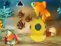 Laro Save The Mother Fish online