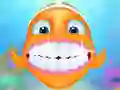 Laro Aqua Fish Dental Care online