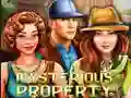 Laro Mysterious Property online
