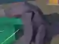 Laro Hakaiju online