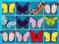 Laro King Of Mahjong online