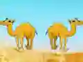 Laro Desert Gold Rush The Great Treasure Escape online