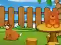 Laro Funny Iguana Escape online