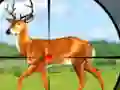 Laro Wild Hunt Hunting Games 3D online