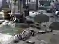 Laro Friends Rescue From Skeleton online