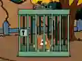 Laro Staffordshire Bull Terrier Escape online