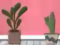 Laro Find Houseplant online