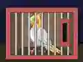 Laro Release The Cockatiel Bird online