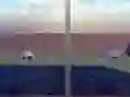 Laro Escape from the House with Turtles online