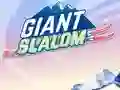 Laro Giant Slalom online