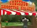 Laro Crossbow Shooting Gallery online