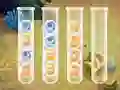 Laro Sort Bubbles online