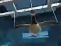 Laro Goose Museum online