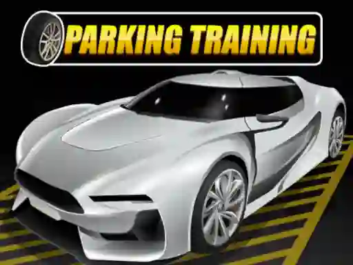 Laro Parking Training online