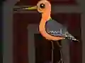 Laro Cute Godwit Escape online