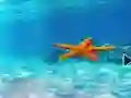 Laro Escape From Underwater Starfish online