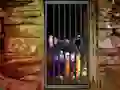 Laro Hidden Cat Escape online