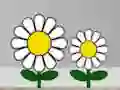Laro Find Succulent Plant online