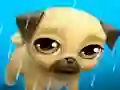 Laro My Virtual Pet Louie the Pug online