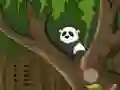 Laro Panda Jungle Escape online