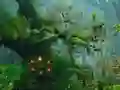 Laro Innocent Sparrow Couple Escape online