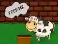 Laro Find The Cow Feed online