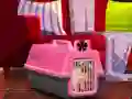Laro Escape The Small Pug online