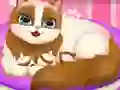 Laro Cute Kitty Pregnant online